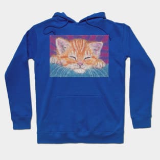 Orange ginger kitten Hoodie